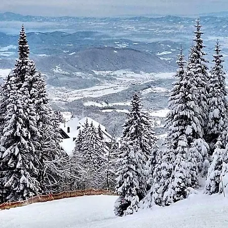 Inn Mozirska Koca *