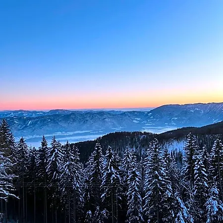 Mozirska Koca